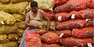 Fresh potatoes on display at a wholesale market in West Bengal, showcasing the vibrant agricultural trade in the region.