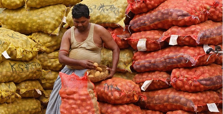 Fresh potatoes on display at a wholesale market in West Bengal, showcasing the vibrant agricultural trade in the region.