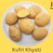 Kufri Khyati - 1