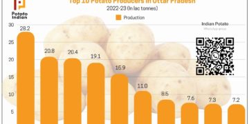 Top 10 Potato Producing Districts of Uttar Pradesh in 2022-23