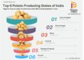 Graph for Top 5 Potato Producing States of India